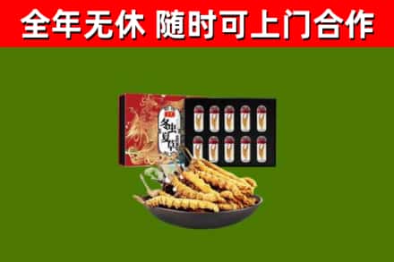 阿坝州回收冬虫夏草价格